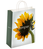 Twisted Paper Handle Carrier bags 