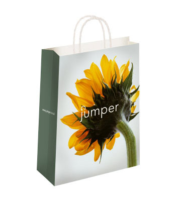 Twisted Paper Handle Carrier bags 